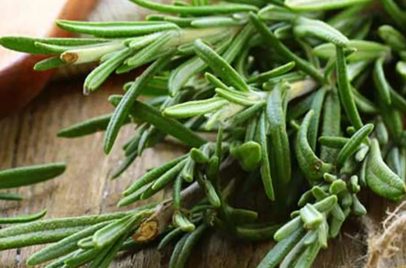 herbs